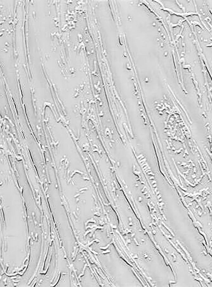 ESG Glas nach Maß Barock 4 mm – ESG-Barock